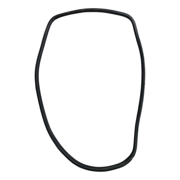 Borracha Fixa Porta Traseira Esquerda Jeep Compass 2017 2022