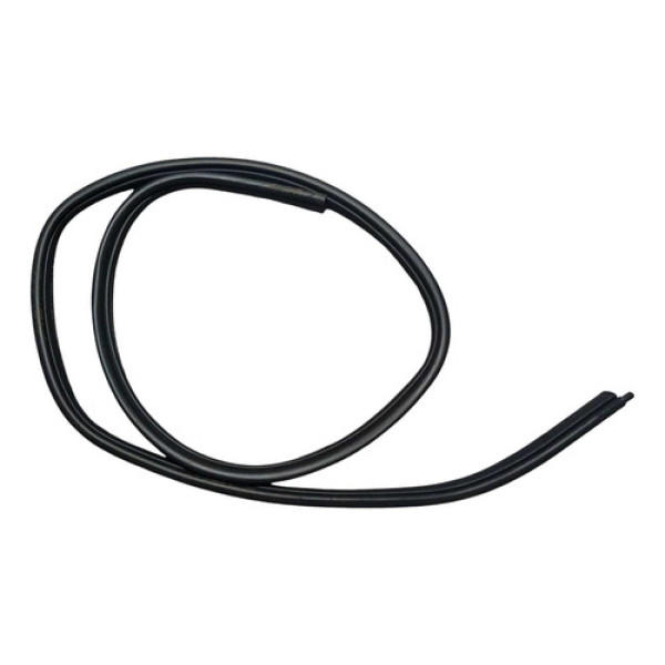 Borracha Porta Traseira Direita Renault Clio 2008 Hatch 