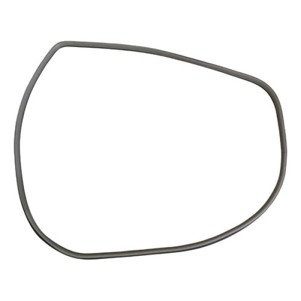 Borracha Porta Traseira Esquerda Honda Civic 2008 2011