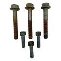 Kit 6 Parafusos Coxim Motor Vectra 1997 2005