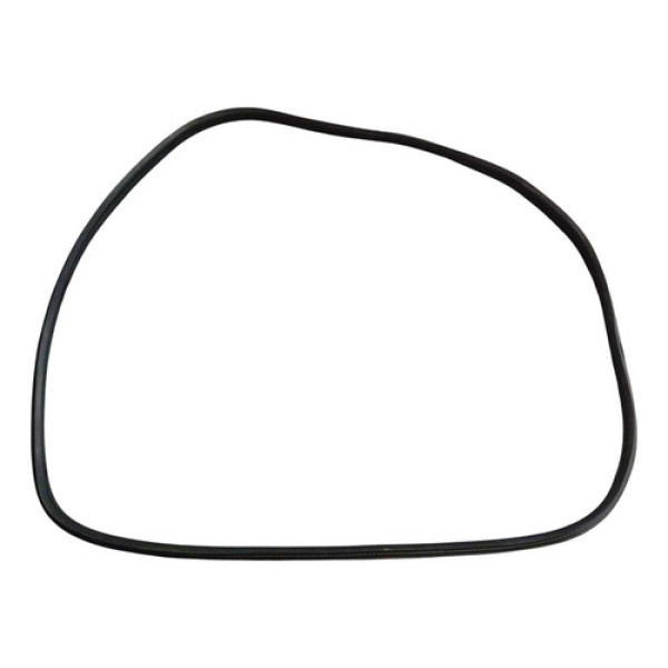 Borracha Porta Traseira Esquerda Renault Fluence 2011 2014 