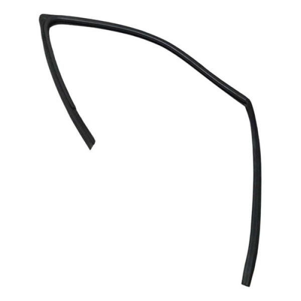 Borracha Canaleta Dianteira Esquerda Renault Clio 2004 2012